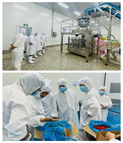 美國客戶采購總監(jiān)一行到訪我司進行業(yè)務洽談